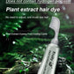 ⏳Time-Limited Special⏰Fruit Essence Hair Dyeing Comb – Cream & Comb in One, No-Mix Plant Formula, 80ml ✨