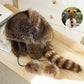 ❄️Winter Specials❄️ Raccoon Tail Fur Parent-Child Plush Hat