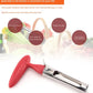 📢Hot Sale🔥Stainless Steel Apple Corer