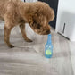 Crunch Play Bottle Toy