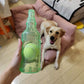 Crunch Play Bottle Toy