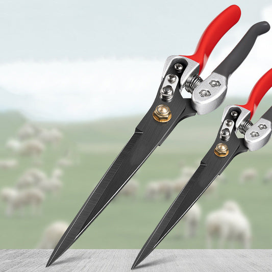 Professional Level Precision Wool Shears