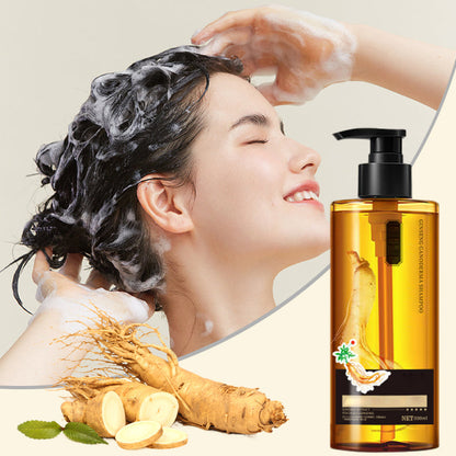 🎉Winter Hot Sale🎉Herbal Oil Control and Hair Repair Shampoo