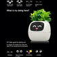 Fun Smart Flowerpot with Multiple Expressions
