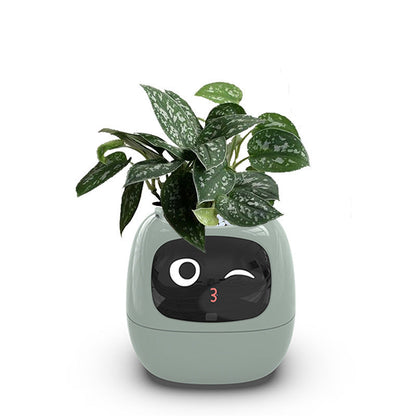 Fun Smart Flowerpot with Multiple Expressions