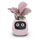 Fun Smart Flowerpot with Multiple Expressions