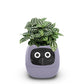 Fun Smart Flowerpot with Multiple Expressions