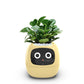 Fun Smart Flowerpot with Multiple Expressions