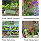 🌼Hot Sale🌼Rectangular Lazy Plastic Flower Pot, Suitable For Home Balcony