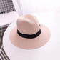 🔥2024 Hot Sale🔥Classic Panama Handmade Hat