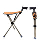 2-in-1 Foldable Cane With Chair