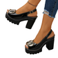 ⏳Time-Limited Special⏰Chunky Heel Sandals – 9.5cm Block Heel, Secure Buckle & Rugged Grip 💃