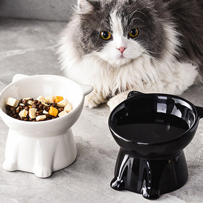 ⏰LAST DAY - BUY 1 GET 1 FREE!!💝Ergonomic Elevated Ceramic Cat Bowl