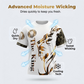 📢📢40% OFF !! ⏰ Men's Lion Graphic Set – Bold, Breathable, Urban Cool 😎