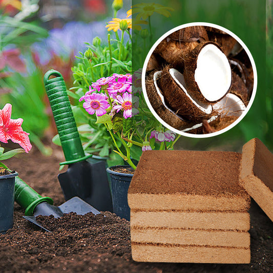 Coconut bricks nutrient soil bulk wholesale, Coconut coir seedling block, Succulent soil, Green plant fertiliser, Planting soil for flower and vegetable cultivation