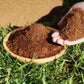 Coconut bricks nutrient soil bulk wholesale, Coconut coir seedling block, Succulent soil, Green plant fertiliser, Planting soil for flower and vegetable cultivation